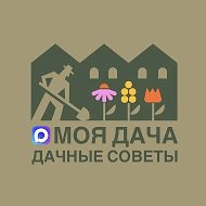 Моя дача | Дачные советы @mydachmax