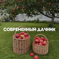 Современный дачник @dacha_blog