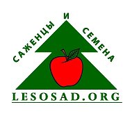 lesosad.org - саженцы, семена, товары для дачи @lesosadorg