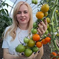Огородник из Рязани @ogorod62