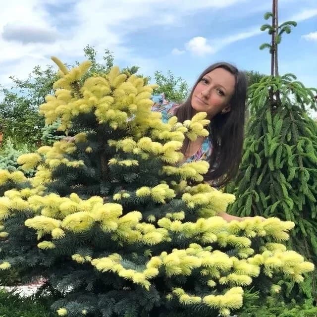 
Юлин сад
