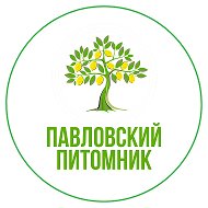 Павловский Питомник @pavlovolimon