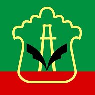 Светлый Альметьевск @almet_light