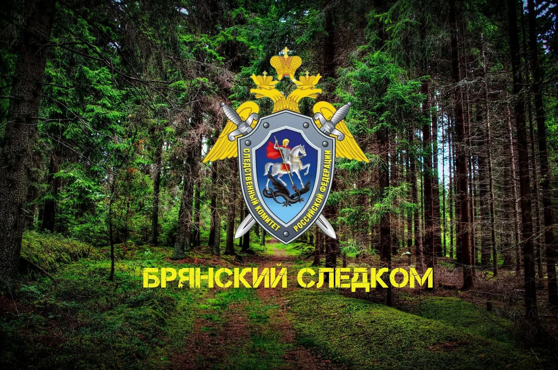 
Брянский следком
