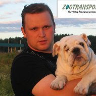 Перевозка, доставка животных | ZOOTRANSPORTS @zootransports