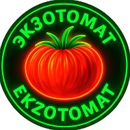 ЭКЗОТОМАТ 46. Коллекционные семена томатов. @ekzotomat