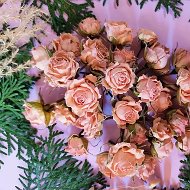Сухоцветы @suhotswet