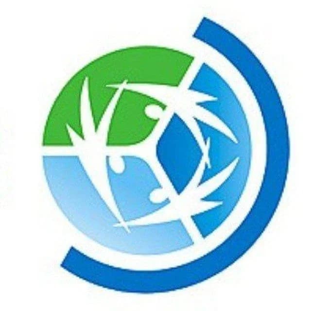
Школа Speaking Planet - английский + 12 иностранных языков
