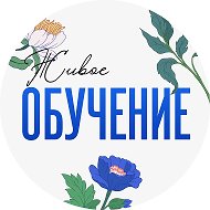 Живое обучение @prolearning