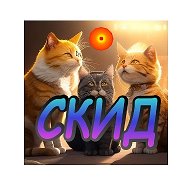 Смешные коты и их друзья кошки, коты, cats, funny cats, смешные коты, смешное видео, @smeshniekoty