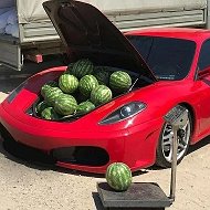 Авторынок Ростовской области @usedcars61