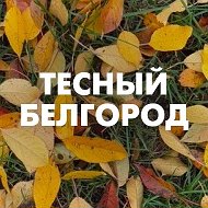 Тесный Белгород @tesnobelgorod