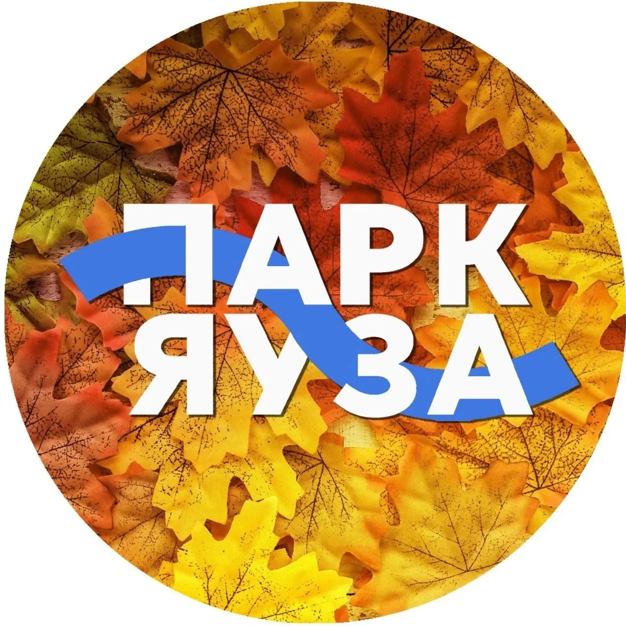 
Парк Яуза: Новости
