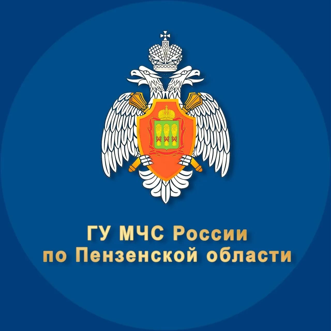 
МЧС Пензенской области
