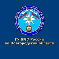 МЧС Новгородской области @club43575064