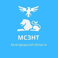 Минсоцтруд Белгородской области @belminsoc31