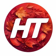 Новгородское областное телевидение @novgorodtv