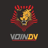 Воин DV @voin_dv