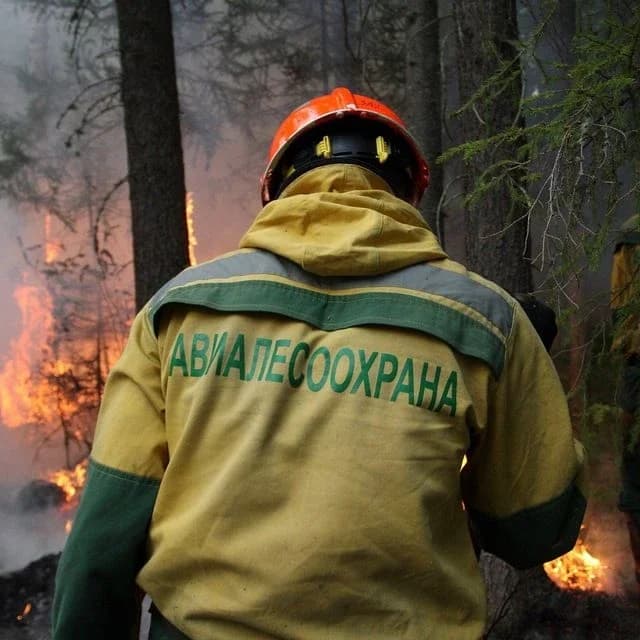 
Федеральная Авиалесоохрана
