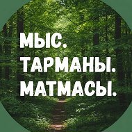 Новости: Мыс, Тарманы, Матмасы. Тюмень @mmt72rus