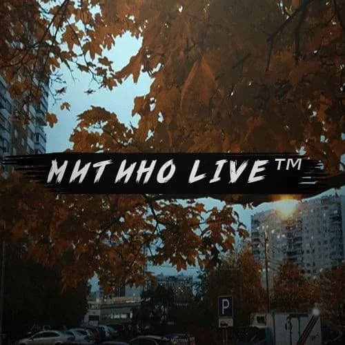 
Митино LIVE
