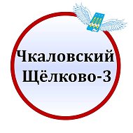 Чкаловский Щёлково 3 Чкалова Титова Гагарина ЧП МБУ  СОШ @schelkovo3