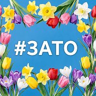 Затоновости Саров @zatonovosti