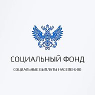Подскажите СФР | Вопросы к СФР @detskie_posobiy_rf