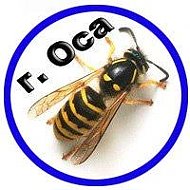 Оса | Осинский район, Пермский край - Объявления @osasity