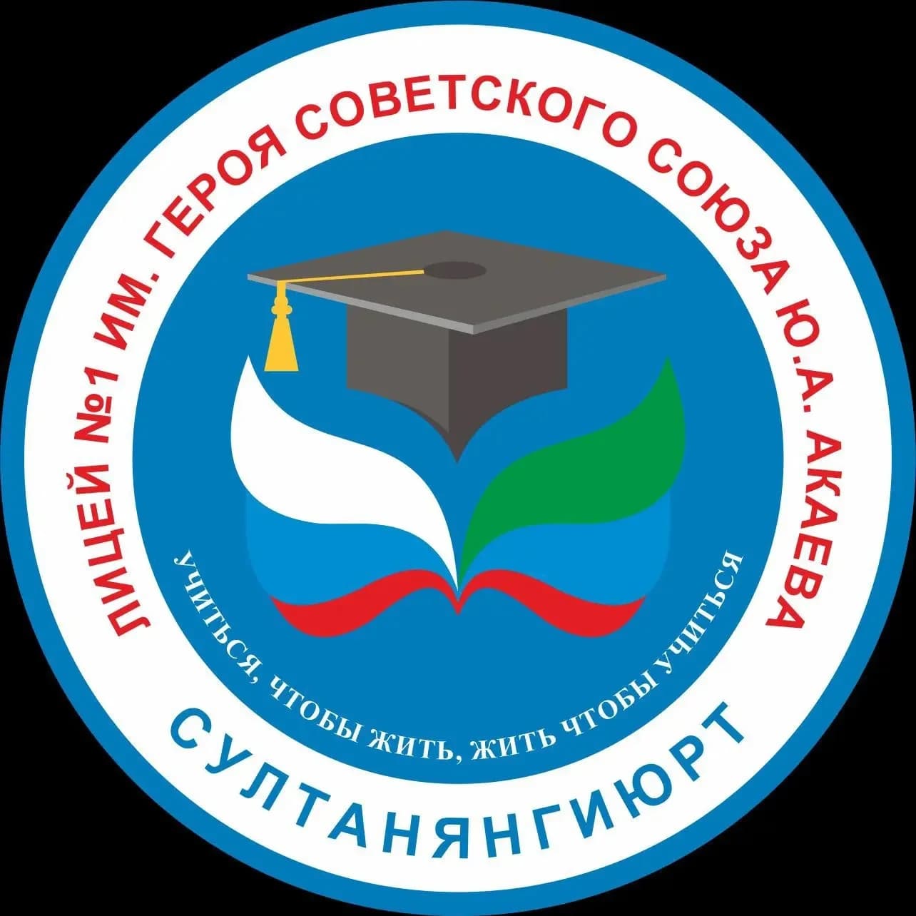 
МКОУ "Лицей №1 им. Героя Советского Союза Ю. А. Акаева"
