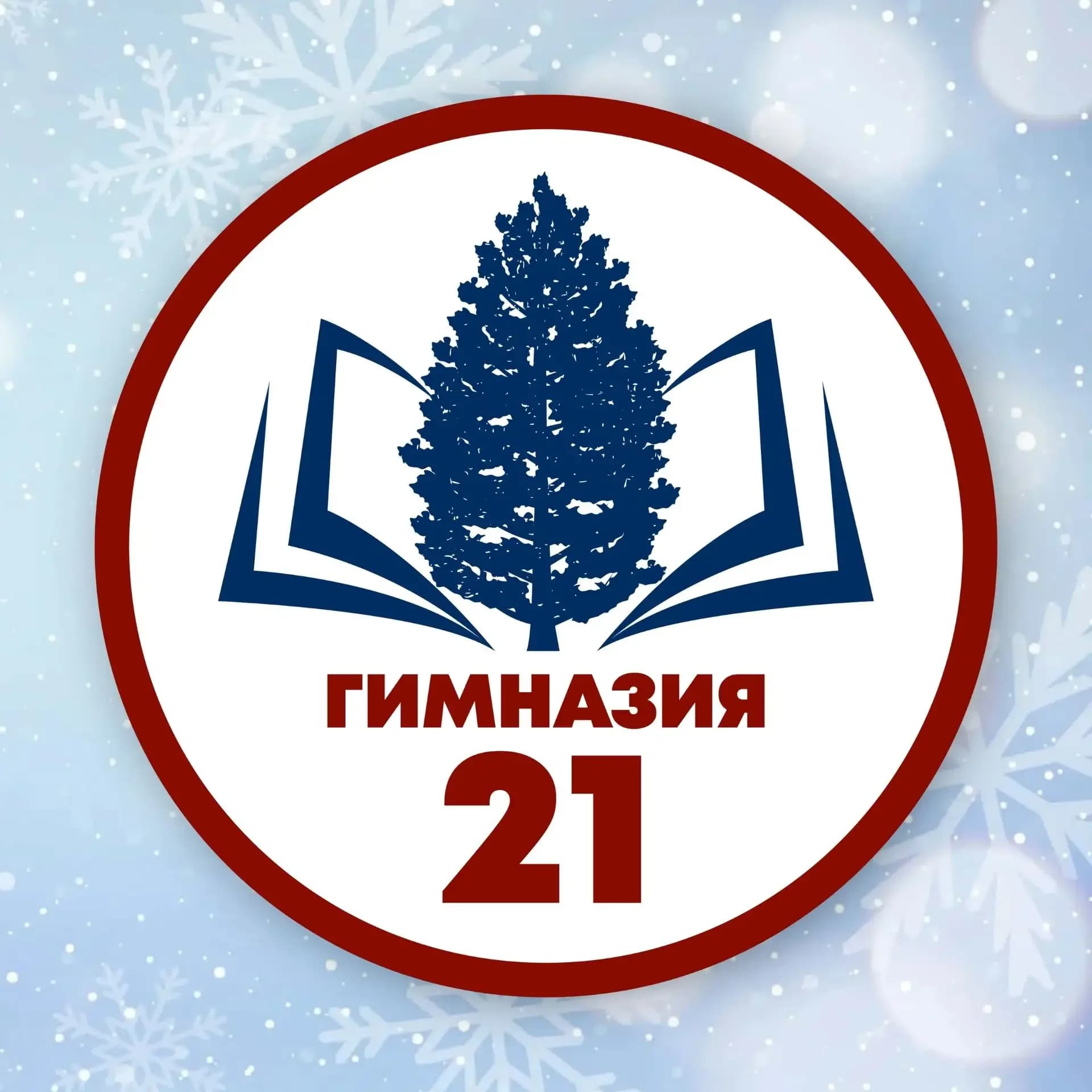 
Гимназия № 21 имени А.М. Терехова
