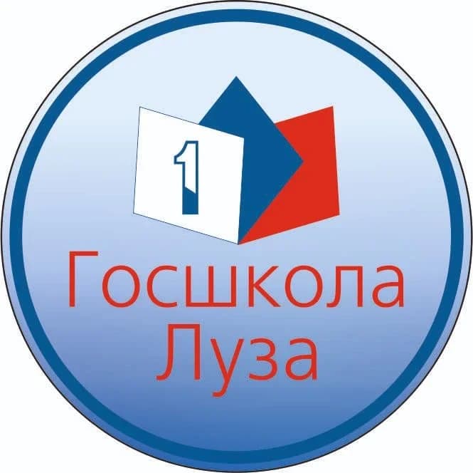 
Официальный канал КОГОАУ СШ г.Лузы
