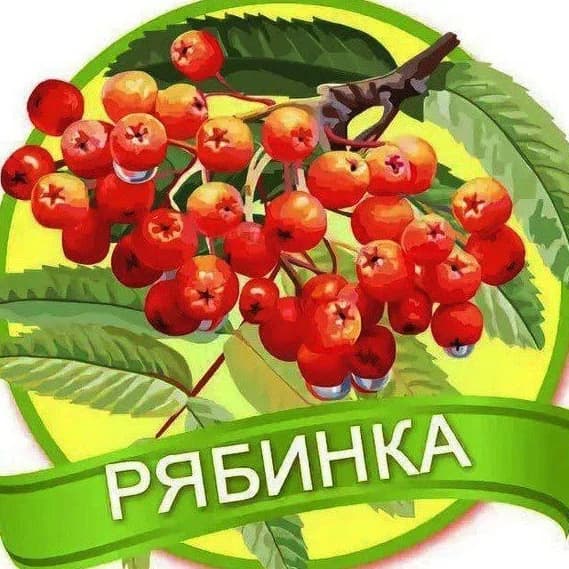 
МАДОУ ЦРР-д/с 18 "Рябинка" МО Кавказский район
