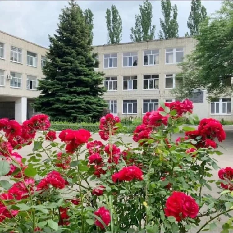 
МБОУ СОШ № 1 им. С.М. Кирова г. Невинномысска
