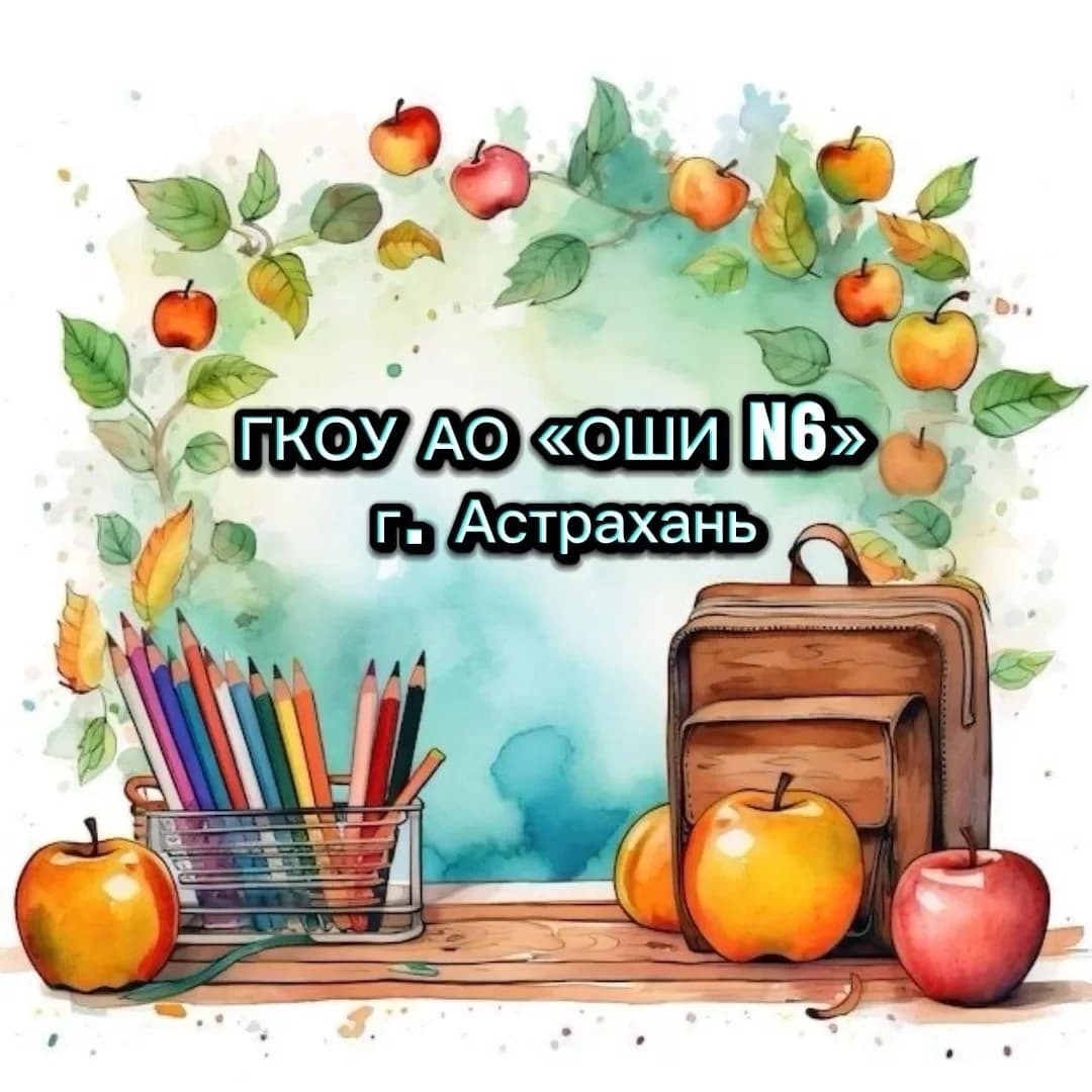 
ГКОУ АО «ОШИ N 6»
