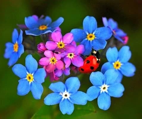
ГБДОУ №32 Калининского района Санкт - Петербурга
